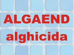ALGAEND_4fb120eac0bfe.jpg